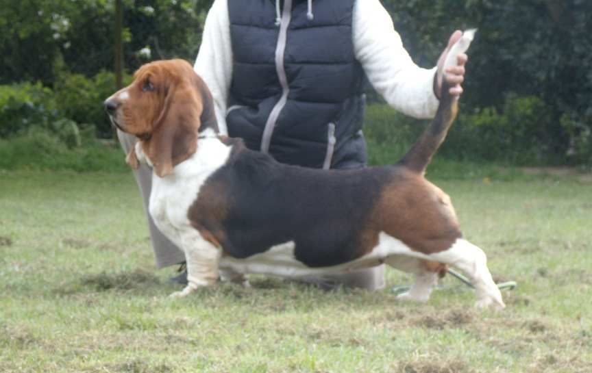 Ultra du Domaine De Léon De La Seille